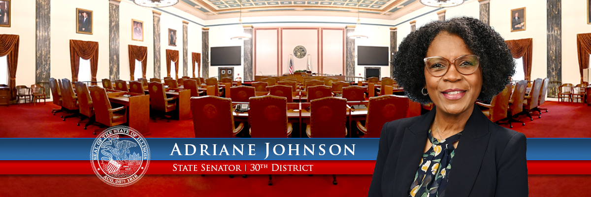 Illinois State Senator Adriane Johnson