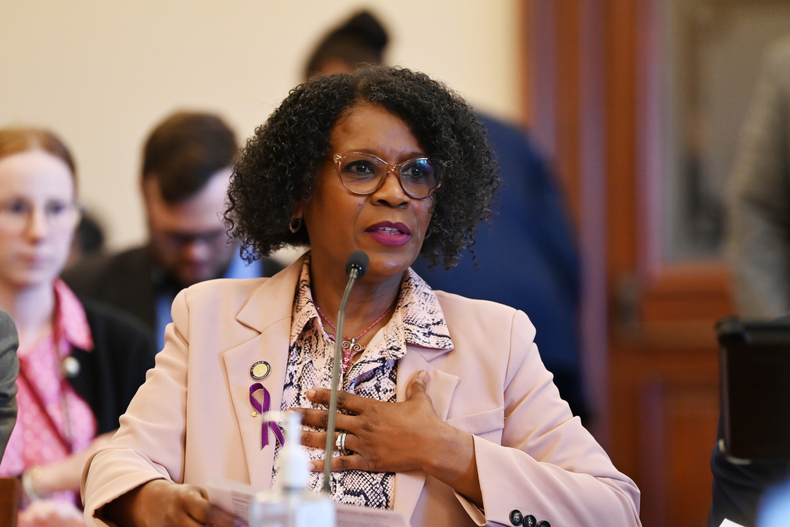 Senator Johnson addresses the senate executive committee