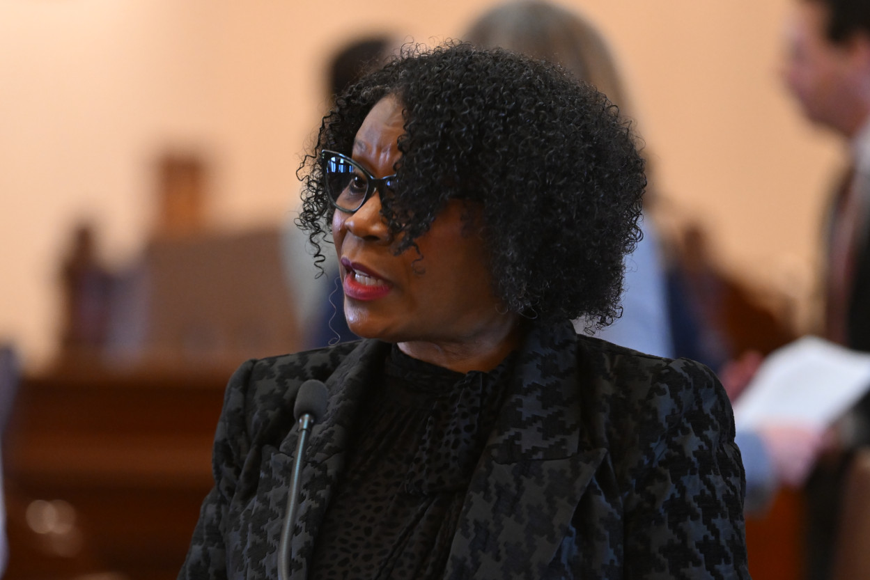 State Senator Johnson speaks at a microphone