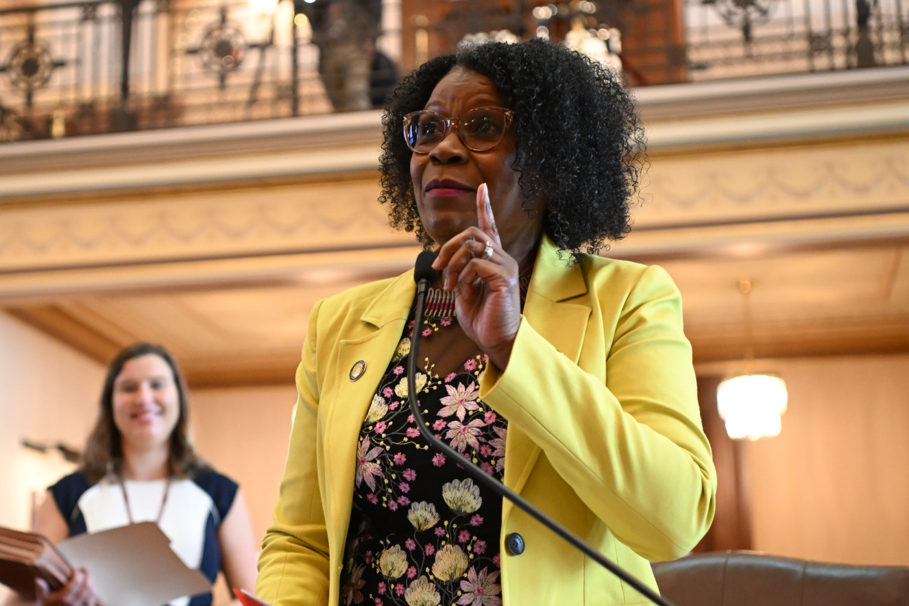 State Senator Adriane Johnson addresses the Illinois Senate