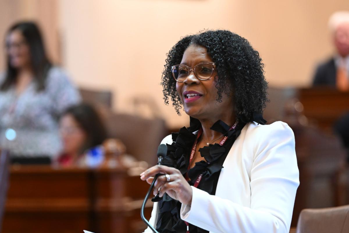 State Senator Adriane Johnson addresses the Illinois Senate.